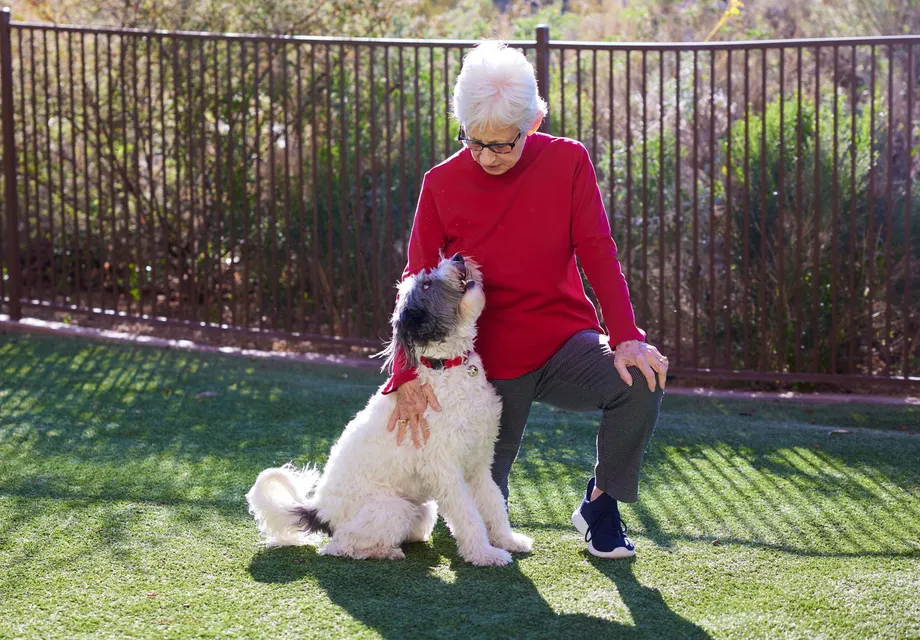 senior programs: pet therapy