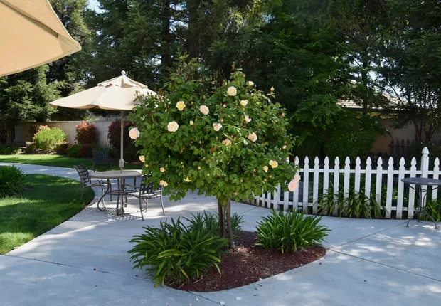 Senior Living in Madera with walking paths surrounded by trees and nature