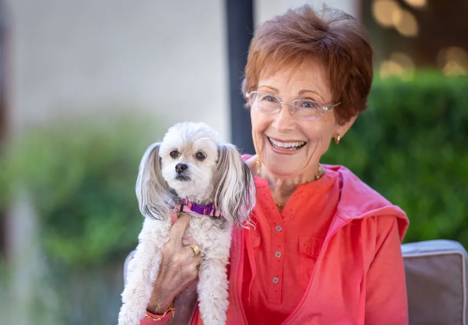 Senior care: pet therapy.