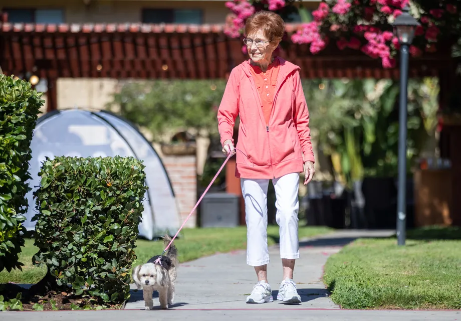 Senior care Manteca: pet therapy
