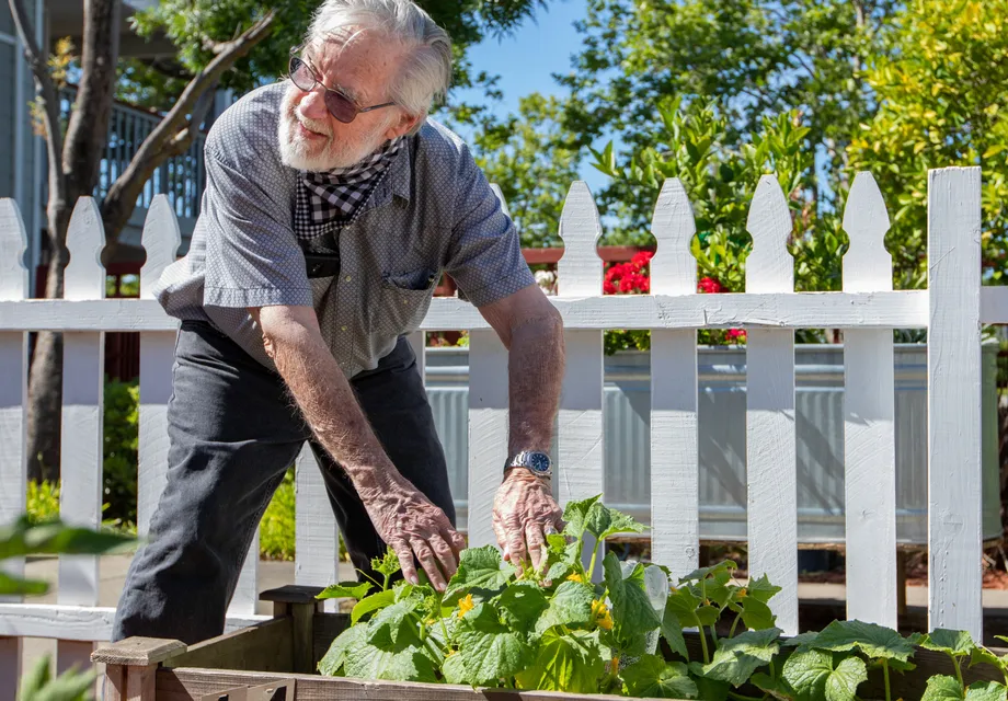 Outdoor gardens and personal garden beds for Independent living residents.