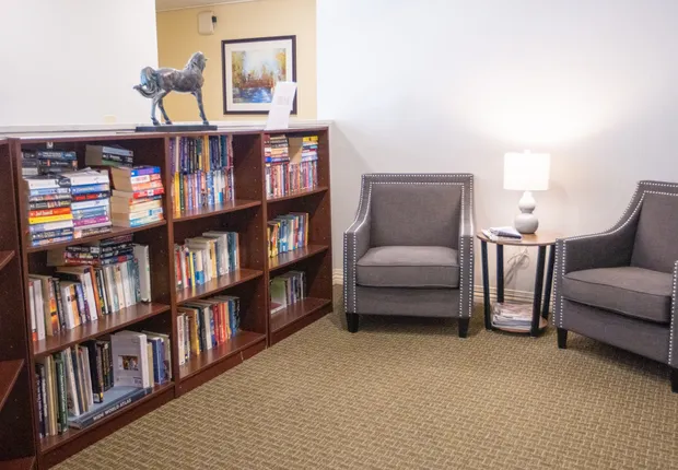 Library with cozy armchair