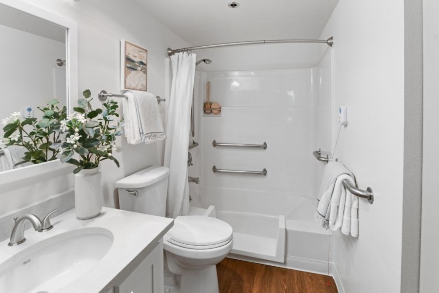 white model bathroom with green plant