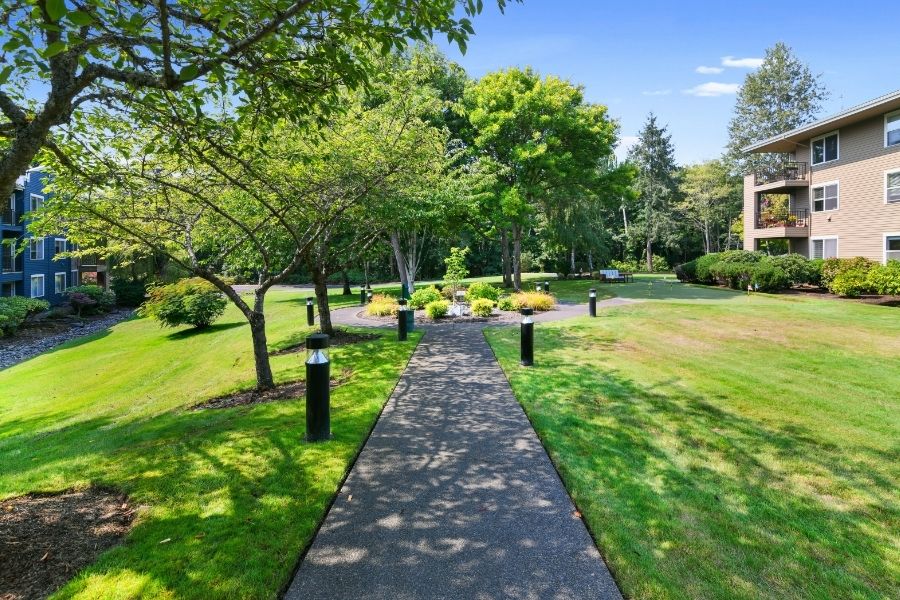 walking path surrounding green grass and trees