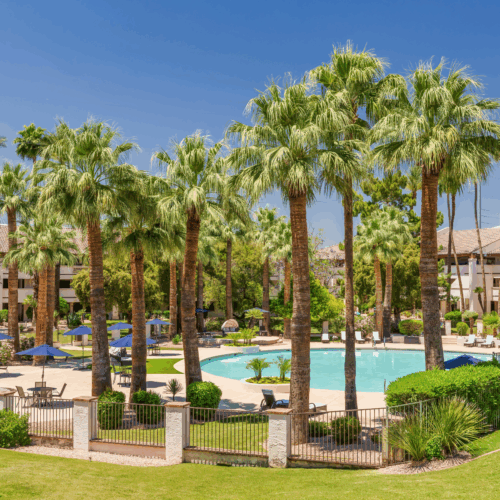 A serene oasis features palm trees and a sparkling pool, inviting relaxation and community warmth.