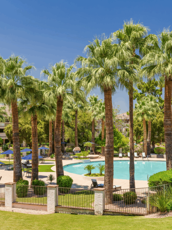 A serene oasis features palm trees and a sparkling pool, inviting relaxation and community warmth.