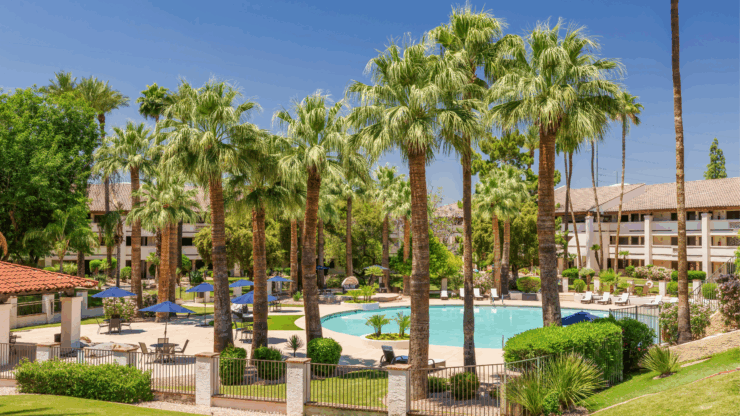 A serene oasis features palm trees and a sparkling pool, inviting relaxation and community warmth.