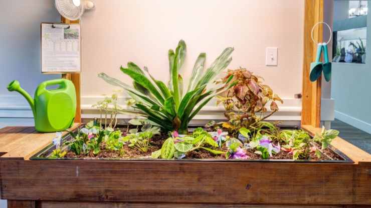 A vibrant indoor garden nurtures community spirit, inviting warmth and connection among residents.