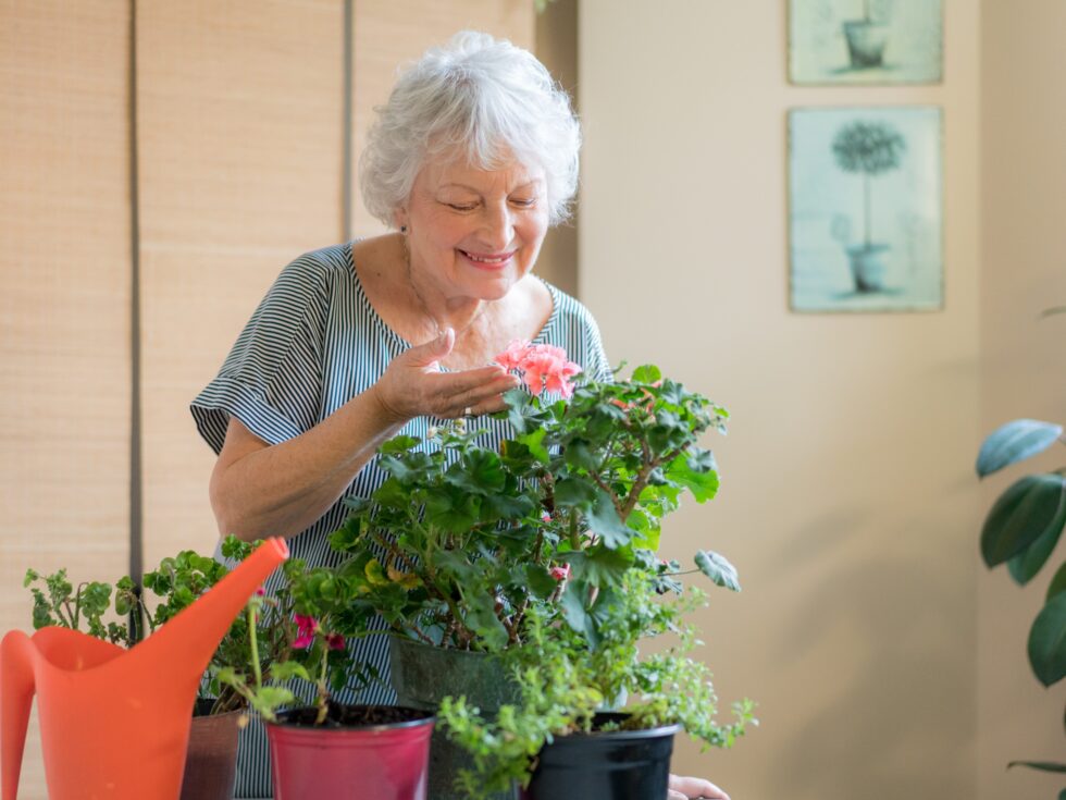 A smiling woman cares for vibrant flowers, surrounded by greenery, fostering a nurturing community atmosphere.