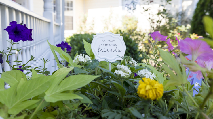 A vibrant garden blooms with colorful flowers, inviting warmth and connection in a lovely community.