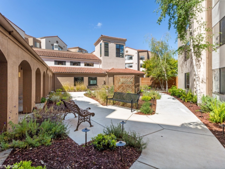 A serene garden with inviting benches, surrounded by lush greenery and warm sunlight, fosters community and comfort.