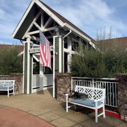 A welcoming entrance with comfortable seating and a friendly dog, embodying community spirit and warmth.