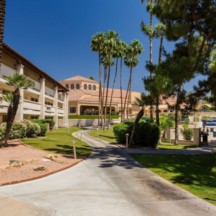 A sunny, inviting pathway leads through lush greenery and palm trees, fostering a warm community atmosphere.