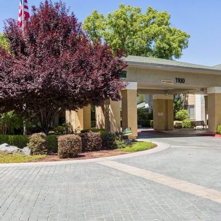 Welcoming entrance with lush greenery and vibrant trees, creating a warm, community-focused atmosphere.