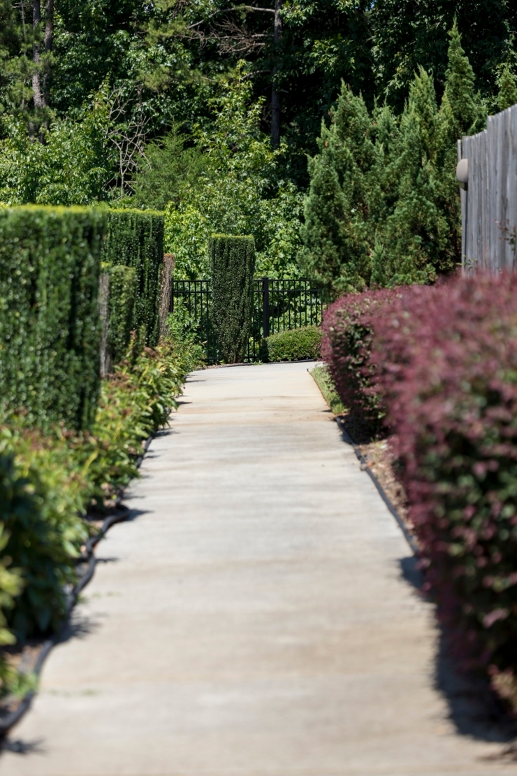 A serene walkway lined with vibrant greenery invites leisurely strolls and community connections.