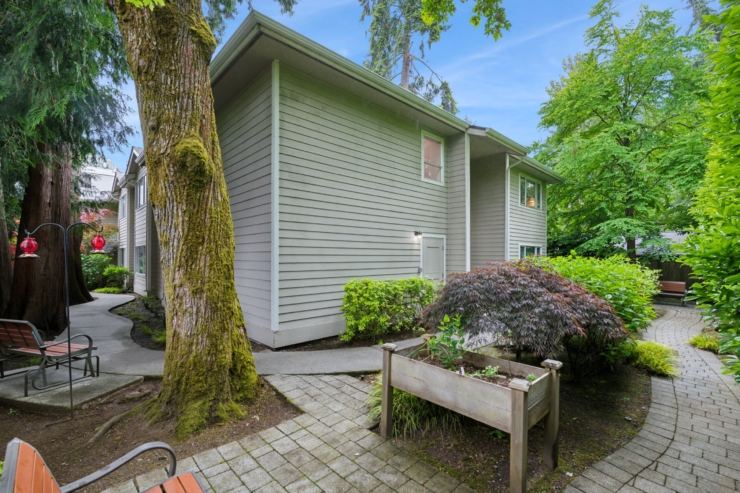 A serene pathway winds through lush greenery, inviting warmth and a sense of community.