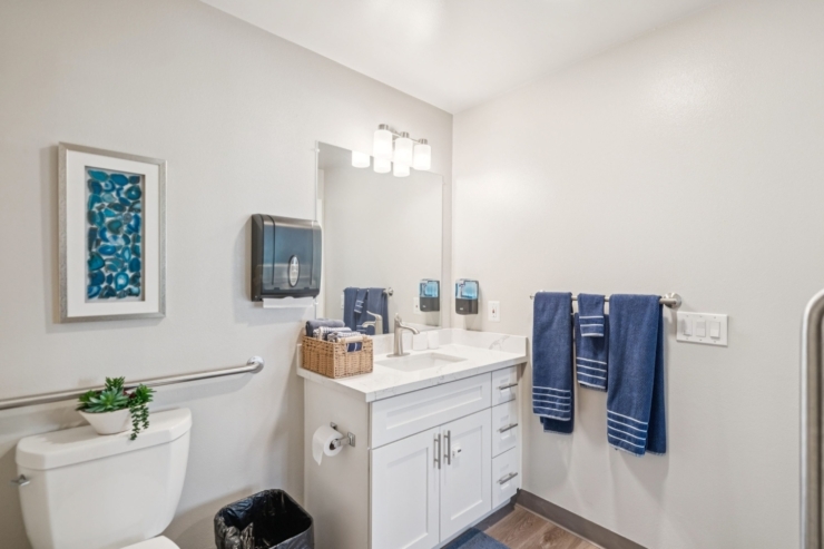 Bright and welcoming bathroom, featuring soothing colors and modern amenities for comfort and care.