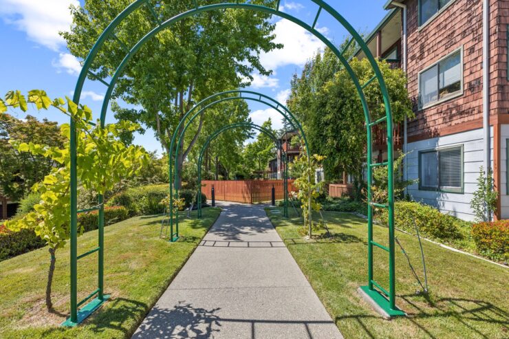 A peaceful pathway adorned with greenery leads to a welcoming community, inviting relaxation and connection.