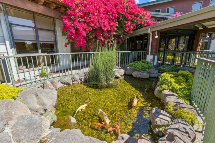 A serene garden features a tranquil koi pond surrounded by vibrant flowers, inviting warmth and community.
