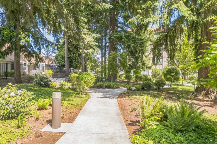 A serene pathway winds through lush greenery, inviting residents to enjoy nature and community.