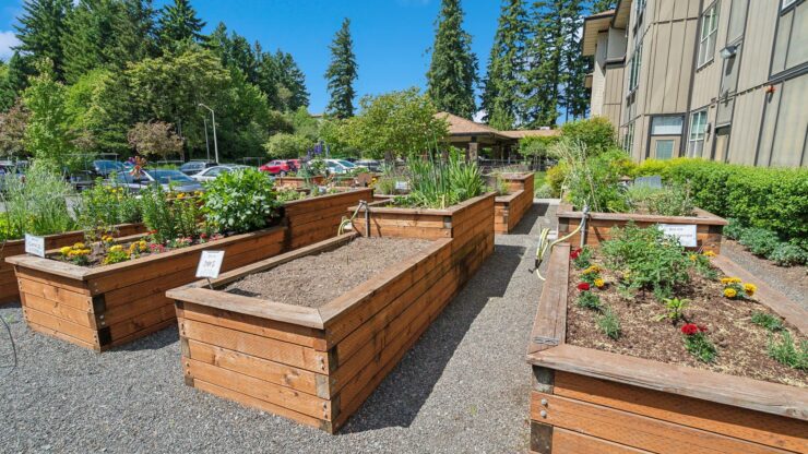 Lush gardens with vibrant flowers create a welcoming space for relaxation and community connection.