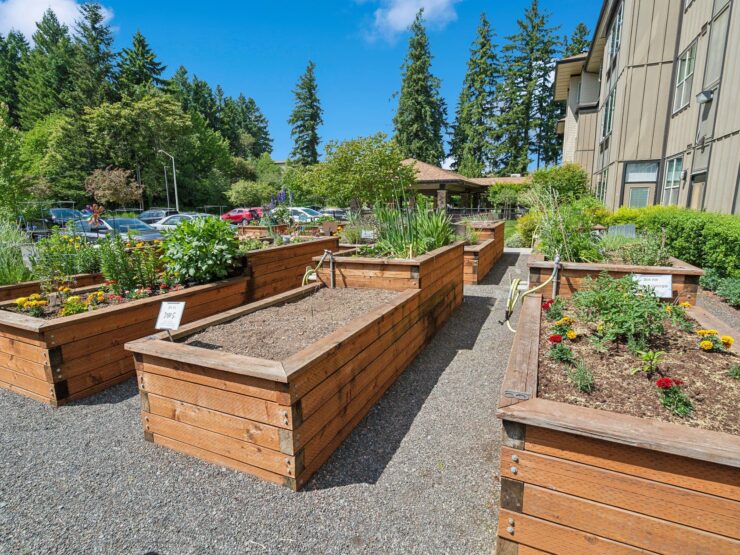 Lush gardens with vibrant flowers create a welcoming space for relaxation and community connection.