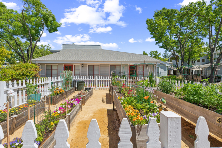 Garden.