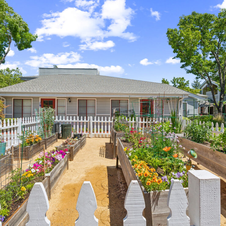 Garden.