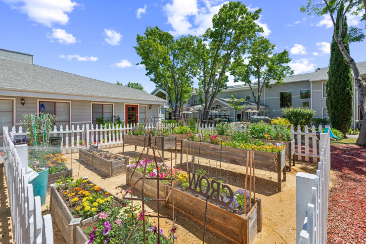 Garden.