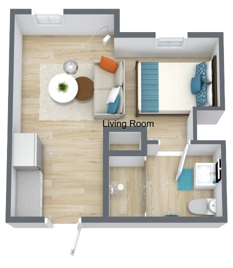 Bright and comfortable studio layout with spacious living area and accessible bathroom for easy living.