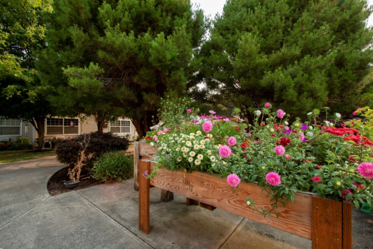 Lush flower beds bloom vibrantly, inviting a sense of community and tranquility in a welcoming garden.