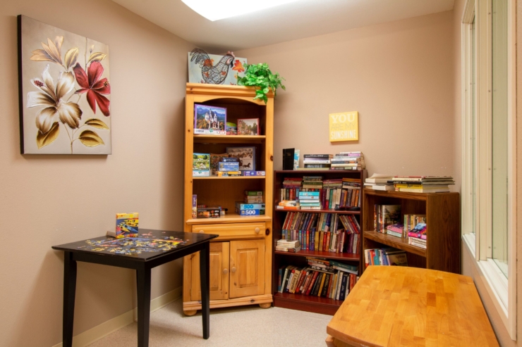 Library game room