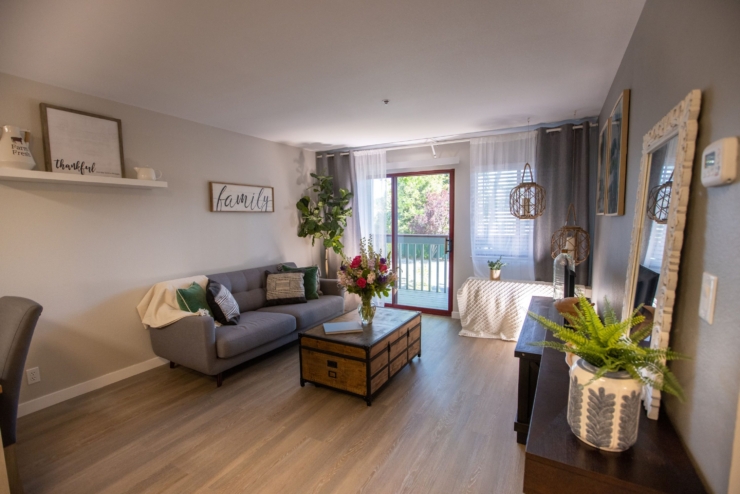 A welcoming living space filled with light, greenery, and charming decor, perfect for community gatherings.