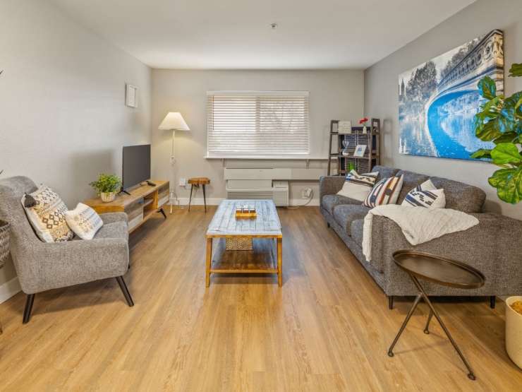 A warm, inviting living space with comfortable seating, natural light, and a touch of greenery.