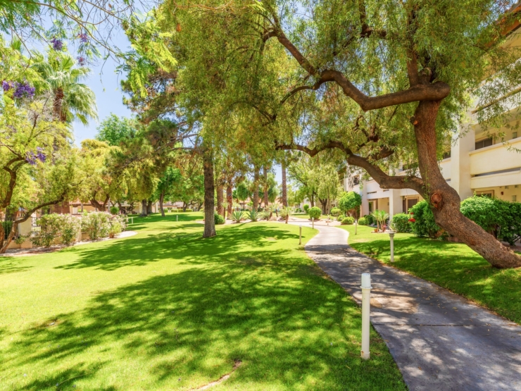A serene pathway winds through lush greenery, inviting residents to enjoy nature and community together.
