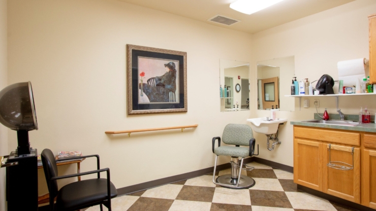 salon