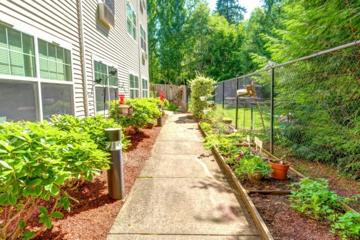 A sunny, inviting pathway lined with greenery and vibrant flowers, perfect for leisurely strolls.
