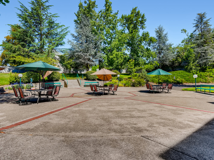 A serene outdoor space featuring shaded seating areas, perfect for community gatherings and relaxation.