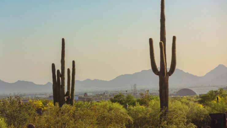 Arizona mountain view.
