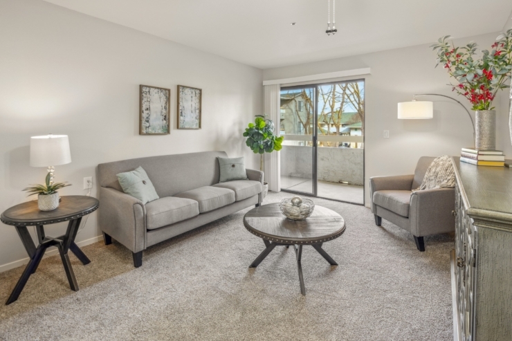 A cozy, inviting living space featuring soft furnishings, natural light, and a warm atmosphere.