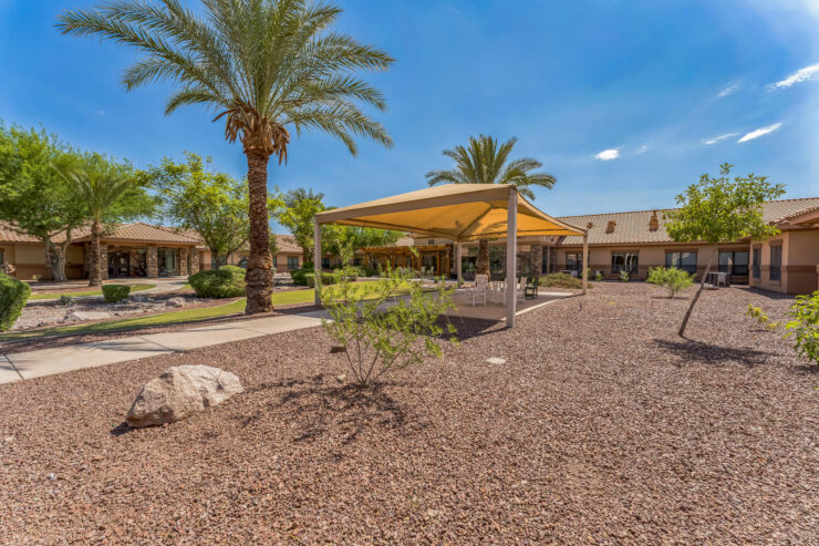 A serene courtyard with palm trees and shaded areas, inviting connection and relaxation.