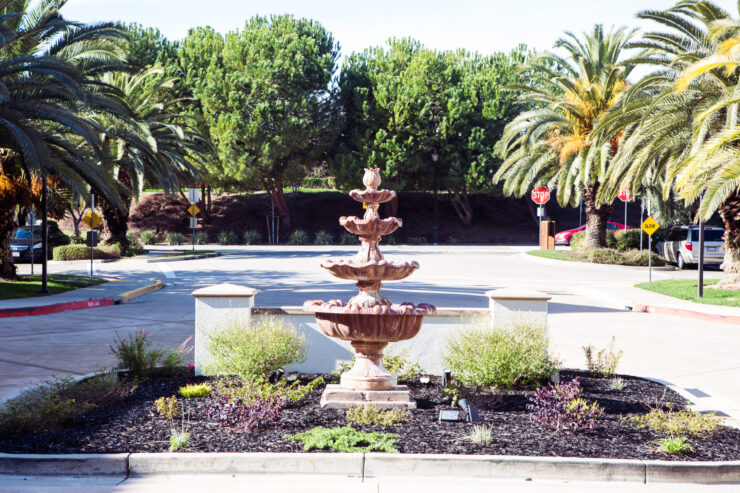 A welcoming fountain surrounded by lush greenery creates a serene atmosphere for community gatherings.