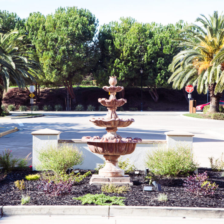 A welcoming fountain surrounded by lush greenery creates a serene atmosphere for community gatherings.