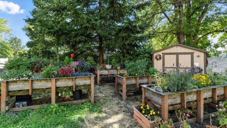 A vibrant garden space filled with lush plants, inviting residents to connect with nature and each other.