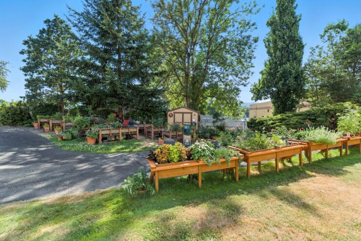 A vibrant garden filled with colorful flowers and greenery invites community and relaxation.