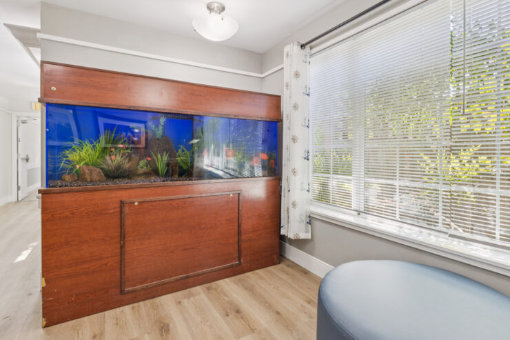 A serene space featuring a vibrant aquarium, inviting natural light, and a welcoming atmosphere.