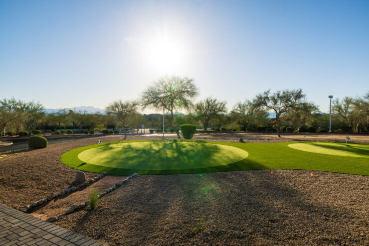 Sunlight bathes a serene landscape, featuring lush greens and gentle shadows, inviting community and relaxation.