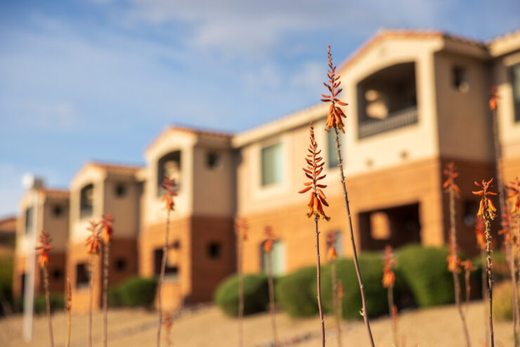 Bright flowers grace the welcoming grounds, enhancing the warmth of a thriving community.