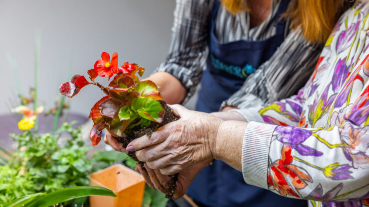 A nurturing moment as residents share joy while planting vibrant flowers together.