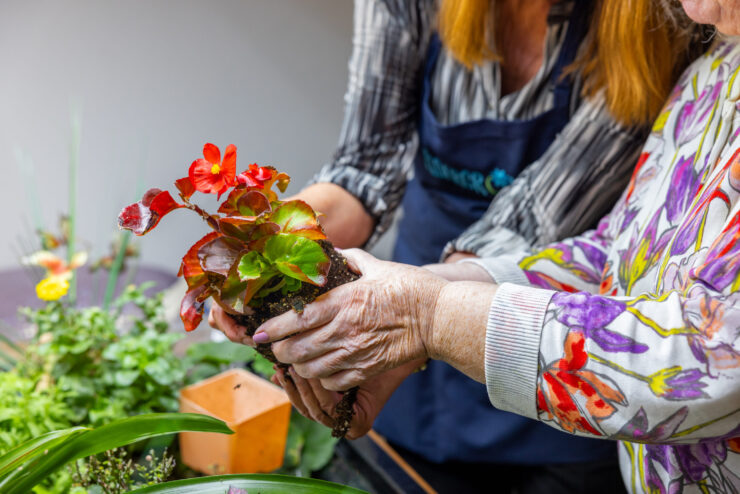 A nurturing moment as residents share joy while planting vibrant flowers together.